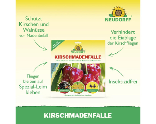 Neudorff Kirschmadenfalle zum Schutz von Kirschen und Walnüssen vor Madenbefall, insektizidfrei
