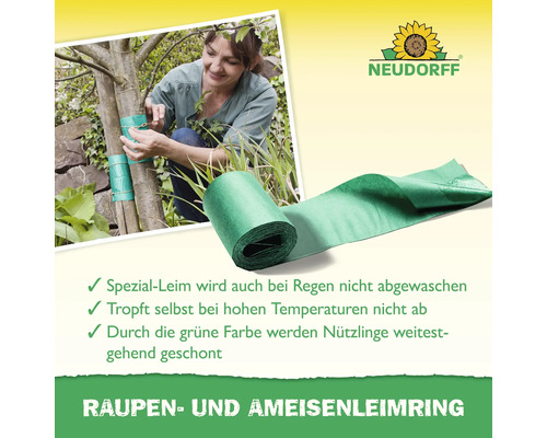 Anwendung des Raupenleimrings von Neudorff zum Schutz von Bäumen vor Schädlingen