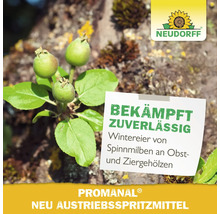 Nahaufnahme von jungen Früchten an einem Baumzweig mit dem Hinweis, dass Promanal zuverlässig Wintereier von Spinnmilben an Obst- und Ziergehölzen bekämpft, Neudorff Logo