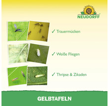 Gelbtafeln zur Schädlingsbekämpfung gegen Trauermücken, Weiße Fliegen sowie Thripse und Zikaden.