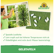 Gelbtafeln zur Schädlingsbekämpfung mit Neudorff Logo. Frau hängt Gelbfalle ans Fenster. Nahaufnahme von weißer Fliege auf Blatt.