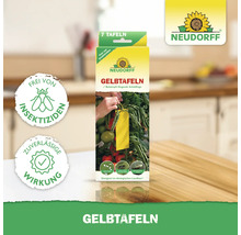 Neudorff Gelbtafeln zur Schädlingsbekämpfung, Packung mit sieben Stück
