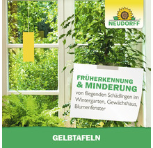 Gelbtafeln zur Schädlingsbekämpfung im Wintergarten, Gewächshaus oder Blumenfenster
