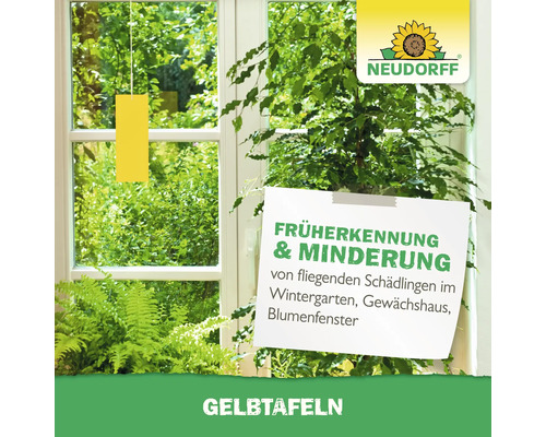 Gelbtafeln zur Schädlingsbekämpfung im Wintergarten, Gewächshaus oder Blumenfenster