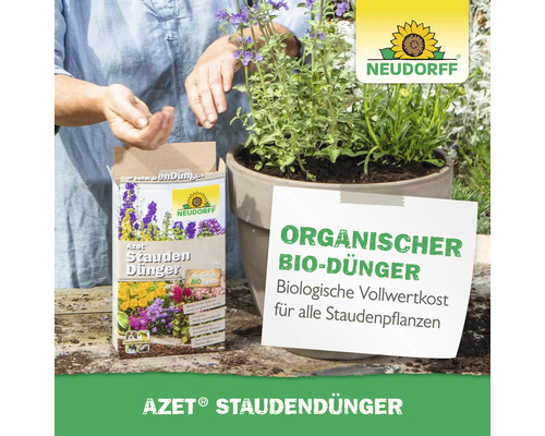 Anwendung von Azet Staudendünger neben einer Topfpflanze mit Neudorff Logo.