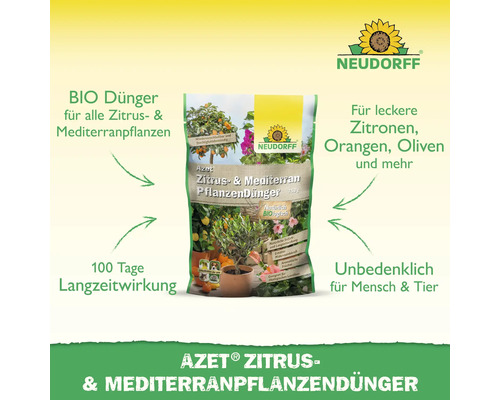 Azet Zitrus- und Mediterranpflanzendünger Packung