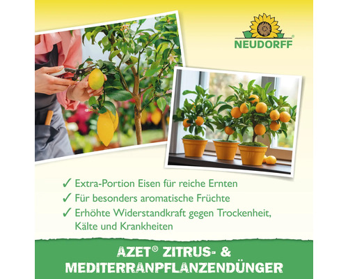 Neudorff Logo. Abbildung von Zitruspflanzen mit Früchten. Vorteile des Azet Zitrus- und Mediterranpflanzendüngers: Extraportion Eisen für reiche Ernten, aromatische Früchte und erhöhte Widerstandskraft.