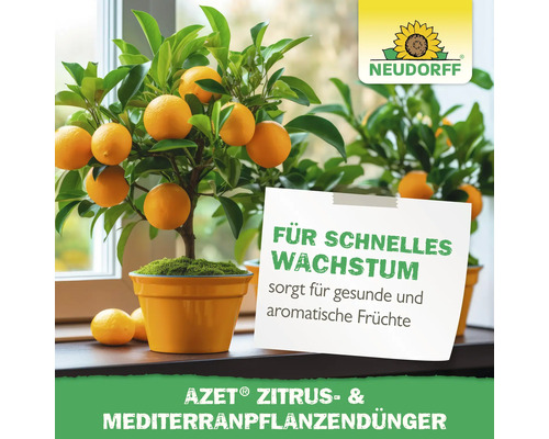 Neudorff Logo. Zitrone in einem Topf mit Aufschrift Azet Zitrus- und Mediterranpflanzendünger