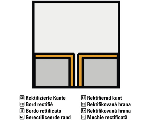 Symbolbild: Rektifizierte Kante