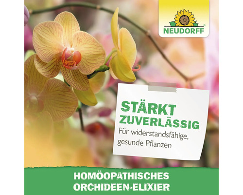 Gelbe Orchidee mit Informationen zum homöopathischen Orchideen-Elixier und Neudorff Logo