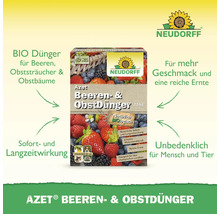 Packung Neudorff Azet Beeren- und Obstdünger mit Hinweisen zu Inhaltsstoffen und Anwendungsbereichen.