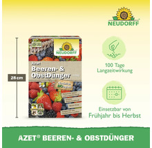 Azet Beeren- und Obstdünger Packung mit 2,5 Kilogramm Inhalt und einer Höhe von 28 Zentimetern. Neudorff Logo.