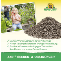 Neudorff Azet Beeren- und Obstdünger zur Förderung des Wurzelwachstums und der Fruchtbildung