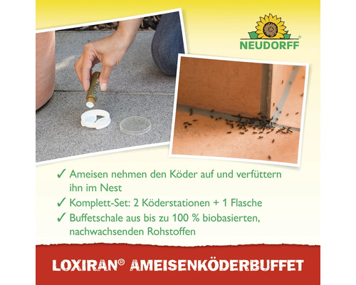 Loxiran Ameisenköder-Buffet zur Bekämpfung von Ameisen im Garten und auf Terrassen