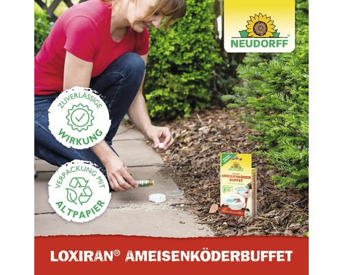 "Frau legt Loxiran Ameisenköderbuffet aus