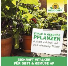 BioKraft Vitalkur Obst & Gemüse 500 ml