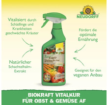 BioKraft Vitalkur Obst & Gemüse 500 ml