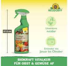 BioKraft Vitalkur Obst & Gemüse 500 ml
