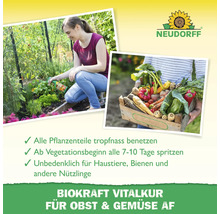 BioKraft Vitalkur Obst & Gemüse 500 ml