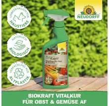 Neudorff Biokraft Vitalkur für Obst und Gemüse in einer Sprühflasche. Das Produkt ist unbedenklich für Haustiere und biologisch.