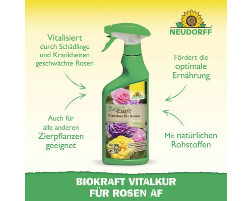 Neudorff Biokraft Vitalkur für Rosen, Flasche