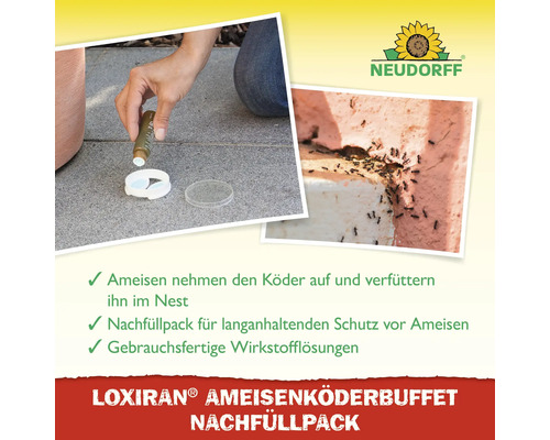 Loxiran Ameisenköderbuffet Nachfüllpack zur Bekämpfung von Ameisen. Neudorff Logo.