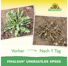 Finalsan Unkrautlos Speed Vorher Nachher Vergleich zur Unkrautbekämpfung.