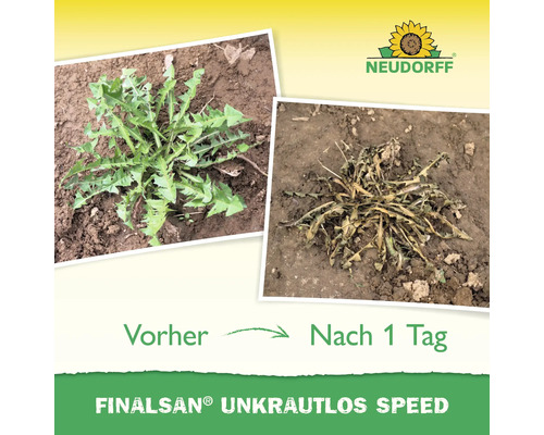 Finalsan Unkrautlos Speed Vorher Nachher Vergleich zur Unkrautbekämpfung.