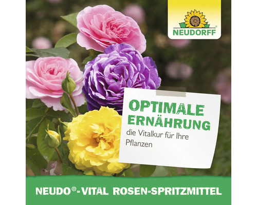 Neudorff Vital Rosenspritzmittel mit Rosen in Gelb, Lila und Rosa und Neudorff Logo