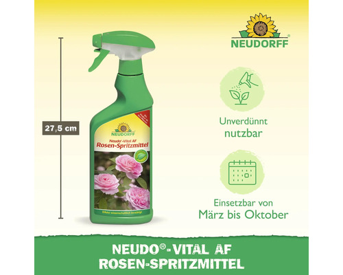 Neudorff Rosen-Spritzmittel, 27,5 cm Flasche zur Rosenpflege
