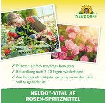 Anwendung von Neudorff Rosen-Spritzmittel mit Rosenabbildungen und Neudorff Logo