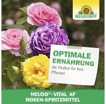 Neudorff Logo mit Rosen und dem Text Optimale Ernährung für Rosen-Spritzmittel