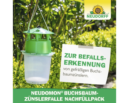 Neudorff Neudomon Buchsbaumzünslerfalle Nachfüllpack zur Befallserkennung