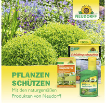 Neudorff Pflanzenschutzprodukte im Gartenbeet: Schädlingsschutznetz, Raupenfrei Xentari und Buxus Ilex Dünger.
