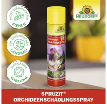 Spruzit Orchideenschädlingsspray in einer Spraydose. Nicht gefährlich für Bienen. Geeignet für den ökologischen Landbau. Zuverlässige Wirkung. Neudorff Logo.