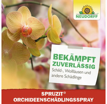 Neudorff Logo. Spritzmittel gegen Schildläuse, Wollläuse und andere Schädlinge für Orchideen.