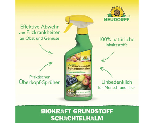 Neudorff Biokraft Grundstoff Schachtelhalm zur Abwehr von Pilzkrankheiten