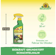 Neudorff Biokraft Grundstoff Schachtelhalm Sprühflasche, 27,5 cm hoch, zur Anwendung bei Pflanzenkrankheiten, geeignet für 50 Quadratmeter, einsetzbar von Februar bis Oktober