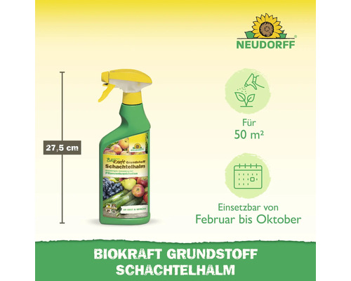 Neudorff Biokraft Grundstoff Schachtelhalm Sprühflasche, 27,5 cm hoch, zur Anwendung bei Pflanzenkrankheiten, geeignet für 50 Quadratmeter, einsetzbar von Februar bis Oktober
