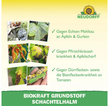 Neudorff Logo. Darstellung von Pflanzenkrankheiten wie Mehltau an Äpfeln und Gurken, Pfirsichkräuselkrankheit, Apfelschorf, Dürrflecken und Blattfleckenkrankheit an Tomaten.