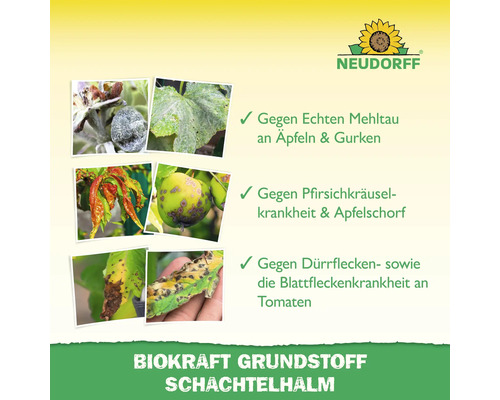 Neudorff Logo. Darstellung von Pflanzenkrankheiten wie Mehltau an Äpfeln und Gurken, Pfirsichkräuselkrankheit, Apfelschorf, Dürrflecken und Blattfleckenkrankheit an Tomaten.