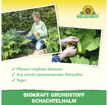 Bilder zeigen eine Frau beim Besprühen von Pflanzen und eine Hand, die eine Gurke hält. Neudorff Logo. Text hebt hervor: Pflanzen tropfnass benetzen, aus schnell nachwachsenden Rohstoffen, vegan. Biokraft Grundstoff Schachtelhalm.