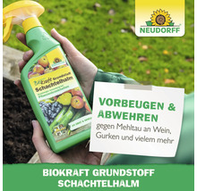 Neudorff Biokraft Grundstoff Schachtelhalm Pflanzenschutzmittel wird von einer Person gehalten