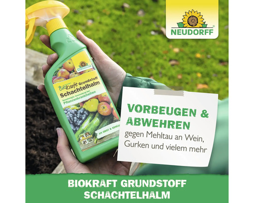 Neudorff Biokraft Grundstoff Schachtelhalm Pflanzenschutzmittel wird von einer Person gehalten