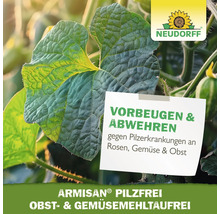 Pflanzenblatt mit Hinweis zur Vorbeugung und Abwehr von Pilzerkrankungen mit Neudorff Logo