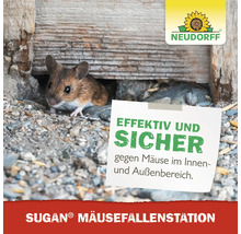 Eine Maus vor einem Loch und ein Hinweis auf eine Mausefallenstation