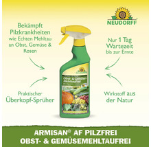 Armisan Pilzfrei Obst- und Gemüsespray von Neudorff
