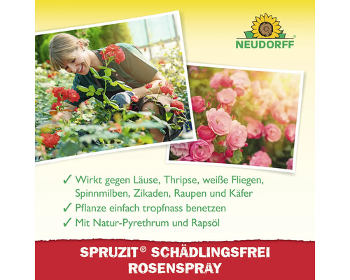 Schädlingsmittel Spruzit Rosen SchädlingsFrei Neudorff Pumpspray, für Freiland Anwendung auch an Zierpflanzen, für ökologischen Landbau geeignet, gegen Blatt- Schild- Woll- und Schmierläuse, Spinnmilben, Weiße Fliege, Zikaden 750 ml