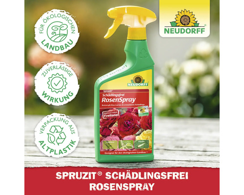 Spruzit Schädlingsfrei Rosenspray zur Schädlingsbekämpfung von Rosen