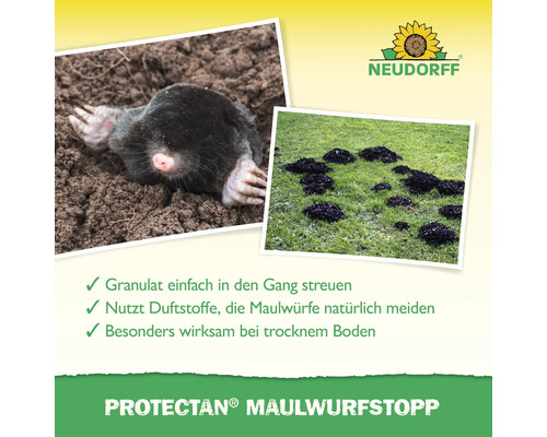 Neudorff Logo. Bild von Maulwurf im Maulwurfsbau und Maulwurfshügel auf einer Rasenfläche.